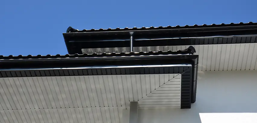 Roof Overhang Repair in Issaquah